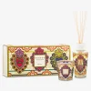 Gift box my first baobab mexico | DELSCHER. Fashion