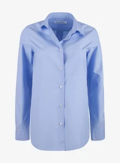 Lenon blouse lichtblauw | DELSCHER. Fashion