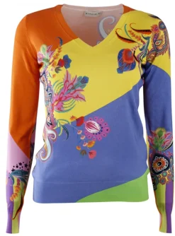 V-hals pull met print | DELSCHER. Fashion